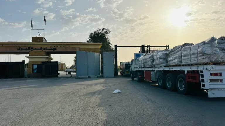 الهلال الأحمر المصري يواصل إرسال المساعدات إلى غزة