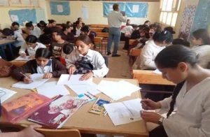 تعزيز قيم المواطنة في المنيا عبر الفعاليات الثقافية