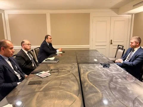 وزير الاستثمار يبحث خفض الانبعاثات الكربونية مع "جرين كاربون"