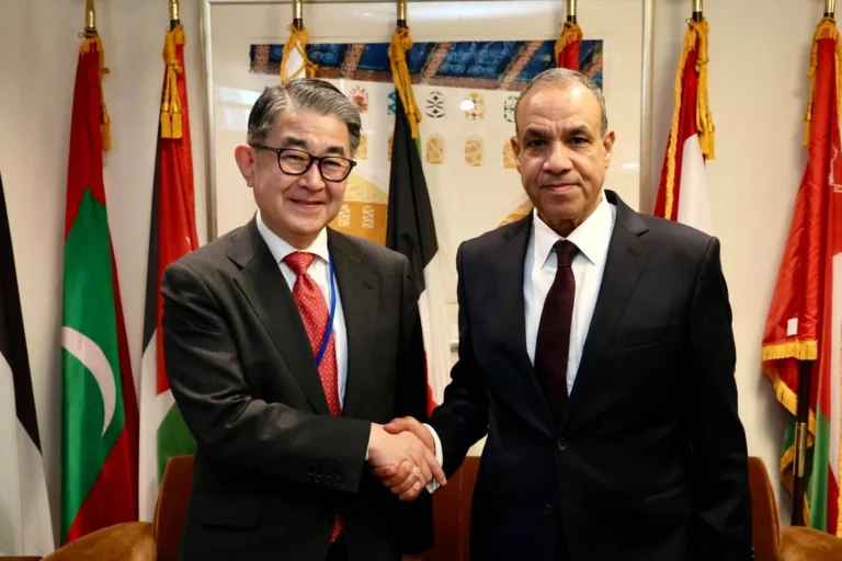 التعاون بين مصر ووكالة الجايكا اليابانية