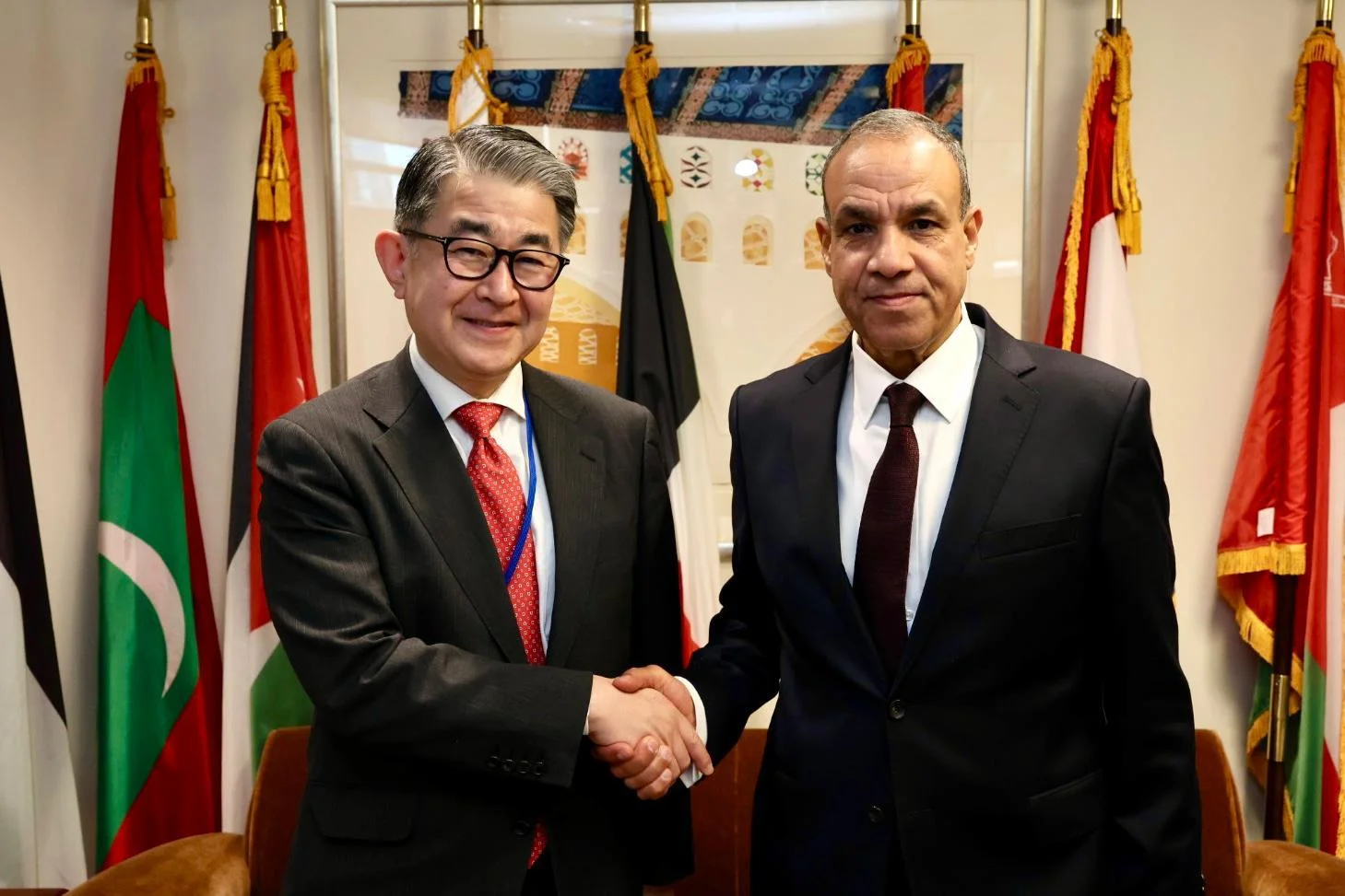 التعاون بين مصر ووكالة الجايكا اليابانية