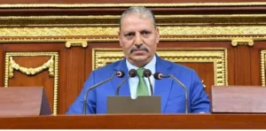 الأجهزة الأمنية المصرية تبرز كفاءتها في ضبط مختطفة رضيعة