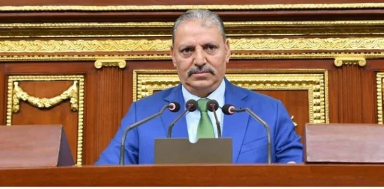 الأجهزة الأمنية المصرية تبرز كفاءتها في ضبط مختطفة رضيعة