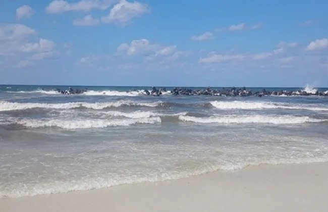 حقيقة فتح شاطئ النخيل بالإسكندرية