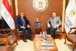 تعزيز التكامل بين التعليم العالي وسوق العمل في مصر