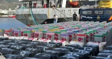 الحشيش المخلق: خطر متزايد وعقوبات صارمة