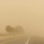 رياح مثيرة للأتربة تضرب محافظة الشرقية