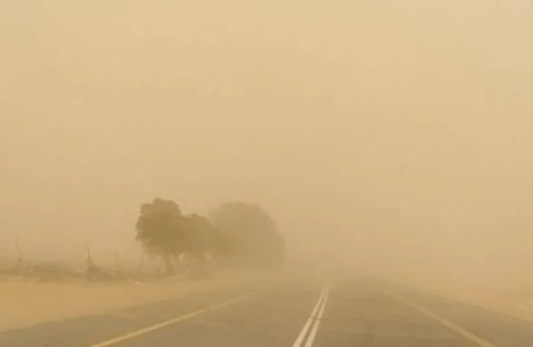 رياح مثيرة للأتربة تضرب محافظة الشرقية