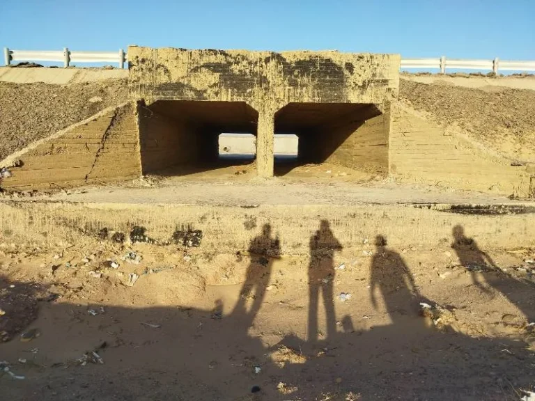 تشكيل لجنة فنية لمواجهة السيول في البحر الأحمر