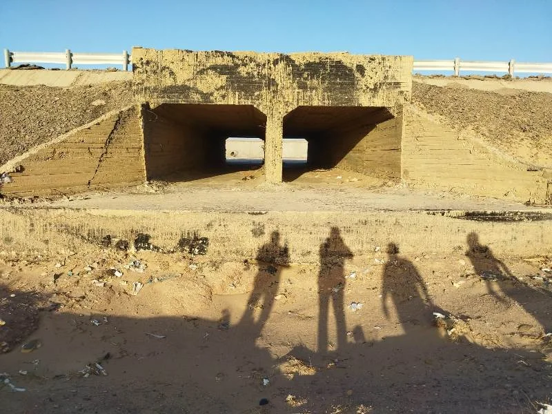 تشكيل لجنة فنية لمواجهة السيول في البحر الأحمر