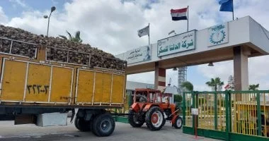 5.5 مليار جنيه سحب على المكشوف بالدلتا للسكر