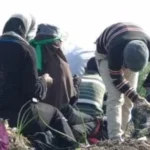 وزارة العمل تحظر عمل الأطفال قبل سن الـ15 في مصر