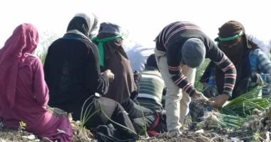 وزارة العمل تحظر عمل الأطفال قبل سن الـ15 في مصر