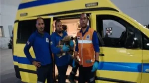 إنقاذ أم ومولودها أثناء ولادة مفاجئة في محطة طنطا