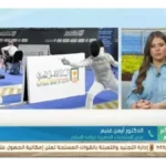 تنظيم بطولة كأس مصر للسلاح بكوادر مصرية