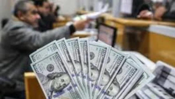 الشهادة الذهبية الدولارية من البنك الأهلي بعائد 4.90%