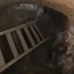 القبض على 4 أشخاص بتهمة التنقيب عن الآثار في المنوفية