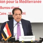 أبو العينين يدعو لرؤية جديدة للنظام الدولي