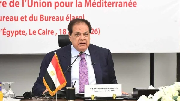 أبو العينين يدعو لرؤية جديدة للنظام الدولي