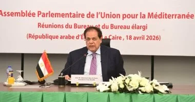 أبو العينين يدعو للحوار والعودة إلى مسار المفاوضات