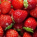 صادرات مصر من الفراولة المجمدة تتجاوز 99 مليون دولار