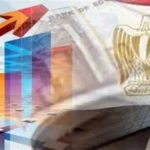 دور القطاع الخاص في التنمية الاقتصادية المصرية