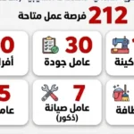 212 فرصة عمل جديدة في السويس