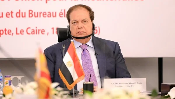 أبو العينين يدعو لتغيير آليات اتخاذ القرار بمجلس الأمن