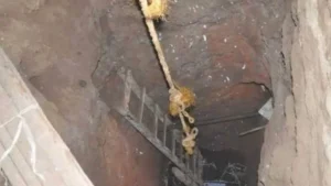 ضبط أربعة أشخاص في المنوفية بتهمة التنقيب عن الآثار