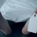 مصرع تاجر مواشي في قنا بسبب خلاف على شراء جاموسة