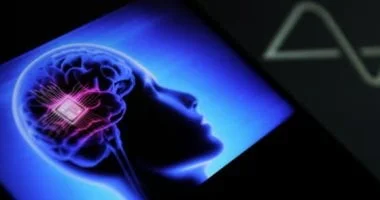 خلايا عصبية صناعية تتواصل مع الخلايا الحية