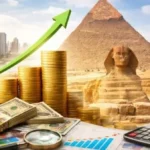 مشروع “The Spine” ودوره في تقليص البطالة بمصر