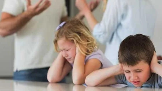 حراك مجتمعي حول قانون الأحوال الشخصية في البرلمان