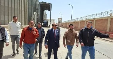 استعدادات القليوبية لموسم توريد القمح 2026