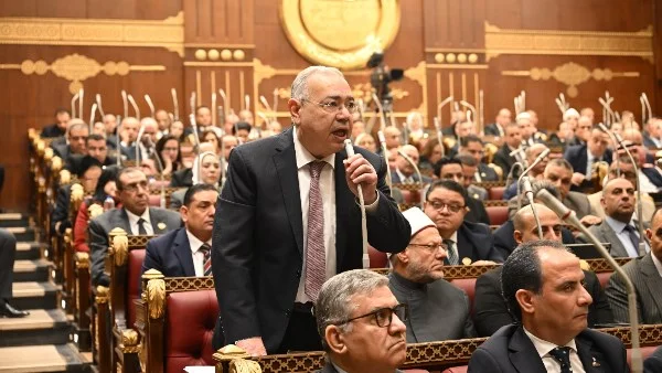 مشروع قانون لحماية الأبناء في مصر