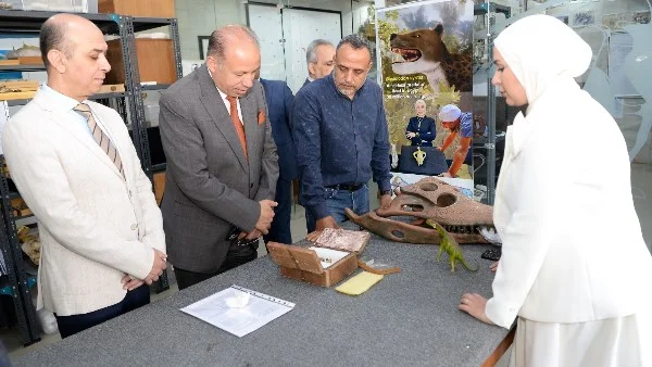 دعم تطوير مركز الحفريات الفقارية بجامعة المنصورة