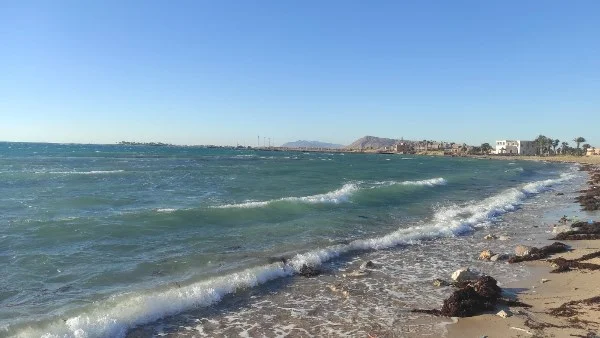 التنمية الشاملة في سيناء تحت قيادة السيسي