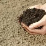 حكم التيمم في غياب الماء الساخن وفق الأزهر