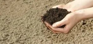 حكم التيمم في غياب الماء الساخن وفق الأزهر