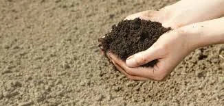 حكم التيمم في غياب الماء الساخن وفق الأزهر