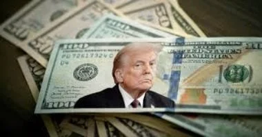 استقرار سعر الدولار في بنك البركة والاقتصاد المصري