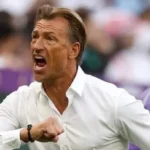 الأهلي يحتاج مدربًا قويًا مثل هيرفي رينارد