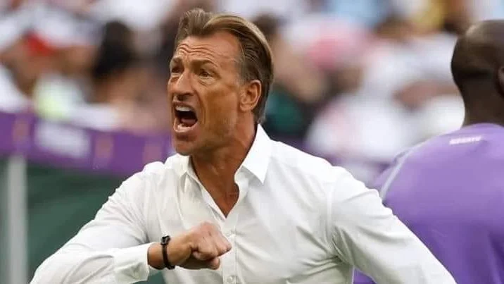 الأهلي يحتاج مدربًا قويًا مثل هيرفي رينارد