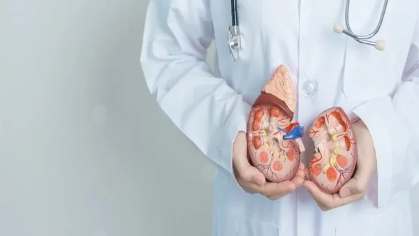 حكم زراعة كلية خنزير في جسم الإنسان