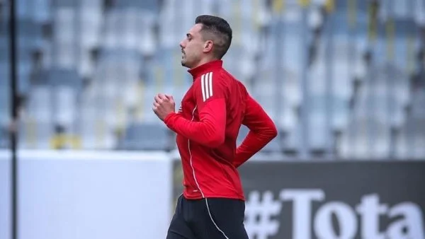 الأهلي يخطط لبيع جراديشار لنادي أوبيست المجري مقابل 2 مليون دولار