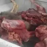 ضبط 392 كيلو لحوم ودواجن وأسماك غير صالحة بالغربية