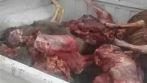 ضبط 392 كيلو لحوم ودواجن وأسماك غير صالحة بالغربية