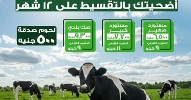 الأورمان تطلق حملة صكوك الأضاحي 2026