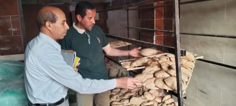 حملات تفتيشية بالمنيا تضبط 297 مخالفة تموينية