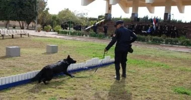 حراس الظل: الكلاب البوليسية تبطل مفعول الجريمة